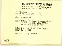 登錄號:F0004703藏品圖，第2張