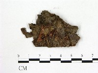 登錄號:F0004703藏品圖，第1張