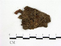 登錄號:F0004703藏品圖，第3張