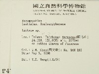 登錄號:F0004704藏品圖，第2張