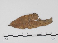 登錄號:F0004704藏品圖，第1張