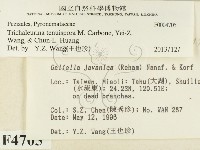 登錄號:F0004705藏品圖，第2張