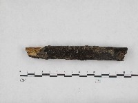 登錄號:F0004705藏品圖，第1張
