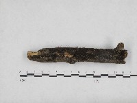 登錄號:F0004705藏品圖，第3張
