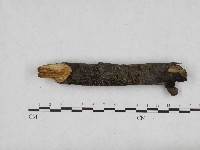 登錄號:F0004705藏品圖，第4張