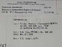 登錄號:F0004706藏品圖，第2張