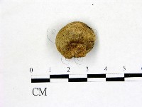 登錄號:F0004706藏品圖，第1張