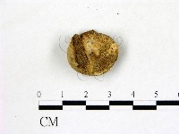 登錄號:F0004706藏品圖，第3張