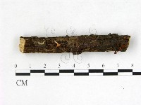 登錄號:F0004707藏品圖，第1張