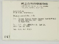 登錄號:F0004709藏品圖，第2張