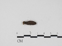 登錄號:F0004709藏品圖，第3張