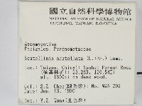 登錄號:F0004710藏品圖，第2張