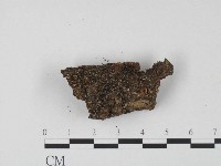 登錄號:F0004710藏品圖，第1張