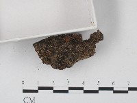 登錄號:F0004710藏品圖，第3張