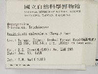 登錄號:F0004711藏品圖，第2張