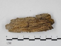 登錄號:F0004711藏品圖，第3張