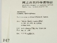 登錄號:F0004713藏品圖，第2張