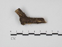 登錄號:F0004713藏品圖，第1張