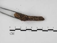 登錄號:F0004713藏品圖，第3張