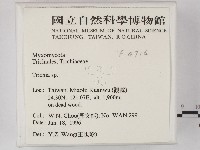 登錄號:F0004716藏品圖，第2張