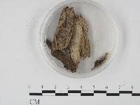 登錄號:F0004716藏品圖，第3張