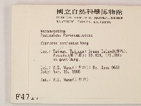 登錄號:F0004717藏品圖，第2張