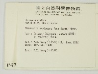 登錄號:F0004718藏品圖，第2張