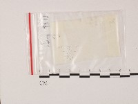 登錄號:F0004719藏品圖，第1張