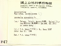 登錄號:F0004722藏品圖，第2張