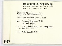 登錄號:F0004723藏品圖，第2張