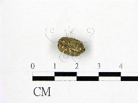 登錄號:F0004723藏品圖，第1張