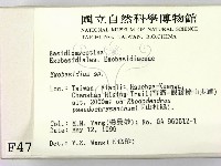 登錄號:F0004724藏品圖，第2張