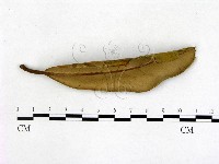 登錄號:F0004724藏品圖，第3張