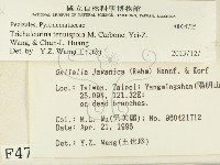 登錄號:F0004725藏品圖，第2張