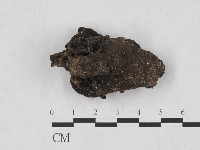 登錄號:F0004725藏品圖，第1張
