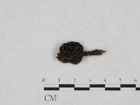 登錄號:F0004726藏品圖，第1張
