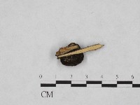 登錄號:F0004726藏品圖，第3張