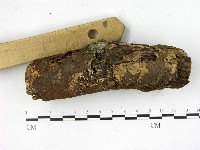 登錄號:F0004727藏品圖，第1張
