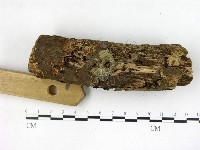 登錄號:F0004727藏品圖，第3張