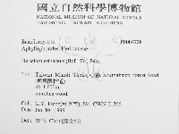 登錄號:F0004728藏品圖，第2張