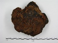 登錄號:F0004728藏品圖，第4張