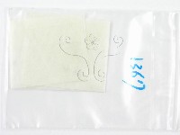鬼傘屬藏品圖，第3張