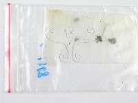鬼傘屬藏品圖，第3張