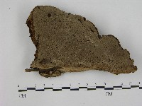 登錄號:F0004733藏品圖，第1張