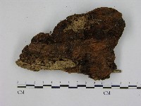 登錄號:F0004733藏品圖，第3張