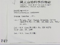登錄號:F0004735藏品圖，第2張
