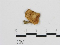 登錄號:F0004735藏品圖，第1張