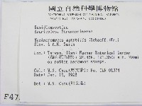 登錄號:F0004736藏品圖，第2張