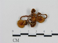 登錄號:F0004736藏品圖，第3張