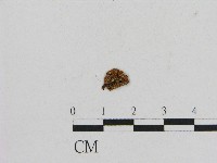 登錄號:F0004737藏品圖，第1張